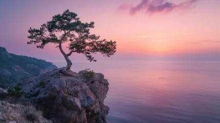 Gardinen Tree Cliff. Lonely Tree on Rock Above the Sea at Sunset in Crimea © Vlad
