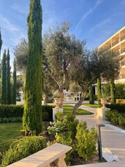 Fototapeta premium garden in the park
