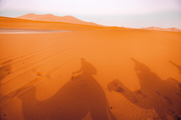 Camel caravan on a sand mound in the desert of Merzouga, Morocco