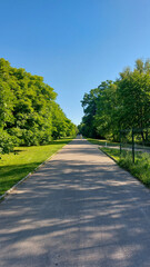 Sunny Pathway Through Green Park with Clear Blue Sky