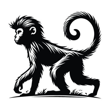 recommend clip art: cute vector silhouette illustration monkey design
                    