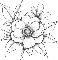 Silhouette, Landscape background ,character, romantic valentines day and animal.