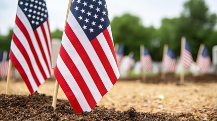 Small American flags planted in the ground, representing patriotism and remembrance, with a blurred background of more flags and greenery.