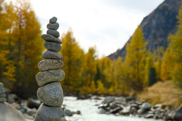 Indian summer in Val Roseg near Pontresina. Indian summer in the Swiss Alps, with golden larch trees