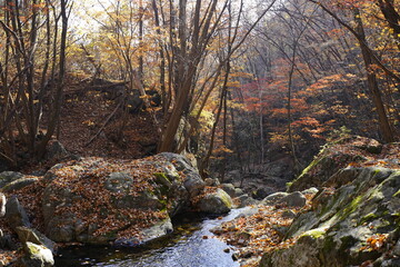 명지산 명지폭포 명지계곡