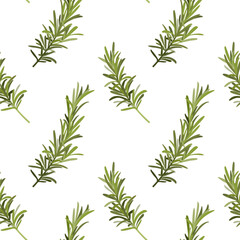 Rosemary spice seamless pattern. Cooking herbs, Italian food and aroma herbs endless texture for wrapping design, hand drawn vector flat illustration. Rosemary decorative seamless pattern design.