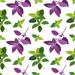 Basil seamless pattern. Cooking herbs and spices, Italian food and aroma herbs endless texture for wrapping design, hand drawn vector flat illustration. Basil  decorative seamless pattern design.