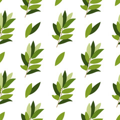 Bay leaf seamless pattern. Cooking herbs and spices, Italian food and aroma herbs endless texture for wrapping design, hand drawn vector flat illustration. Bay leaf decorative seamless pattern design.