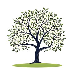 Obraz premium A stylized drawing of a tree with green leaves and a brown trunk on a white background.