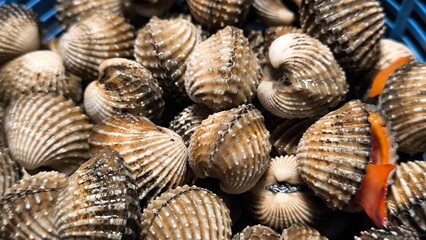 Clams in a restaurant. Seafood.