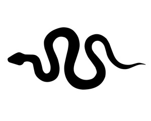 Black silhouette of a snake isolated on white background
