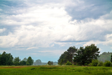 A beautiful field featuring trees in the background with a cloudy sky above