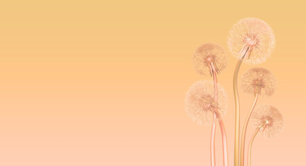 Delicate dandelion seeds on pastel gradient background, symbolizing tranquility and natural beauty. Ideal for themes of growth, simplicity, and serenity in nature. 3d rendering