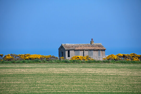 Wick Escocia (Wick Scotland ) | Wick