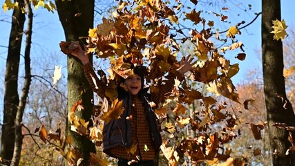Happy little boy play in beautiful autumn park with golden maple leaves on warm sunny fall day. Autumn vibe
