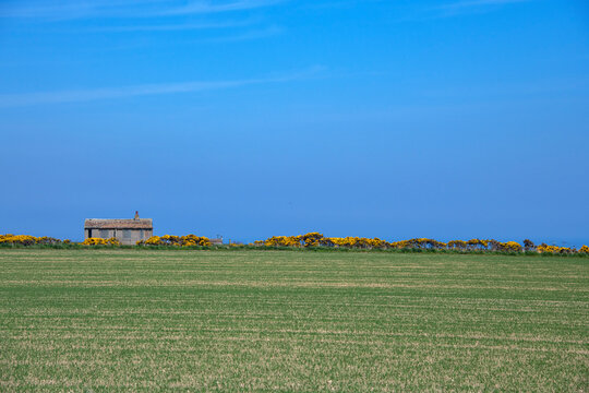 Wick Escocia (Wick Scotland ) | Wick