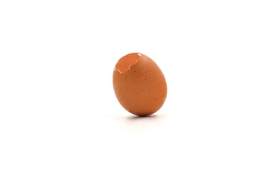 egg
