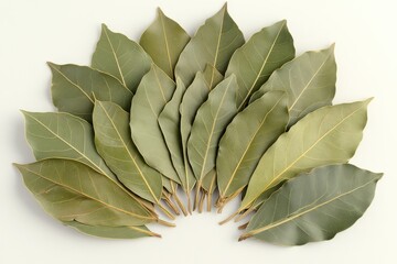 Fototapeta premium A fan-like arrangement of pristine bay leaves neatly displayed on a light background forming a striking contrast, highlighting the leaves’ detailed veins and fresh green hues.