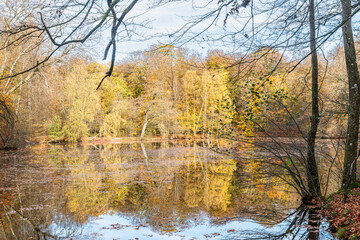 Obraz premium Autumn in Denmark 