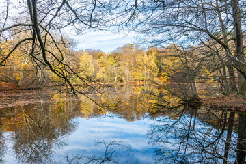 Autumn in Denmark 