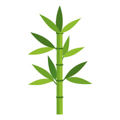 Fototapeta premium Bamboo lucky plant. Chinese tree sprouts flat style isolated. Vector illustration