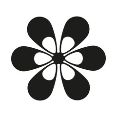 flower nature on white background