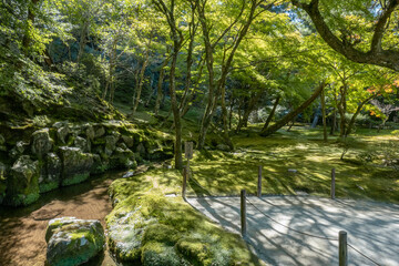 Obraz premium Japanese garden in Ginkakuji Temple, Kyoto, Japan