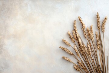 Dried wheat stalks arranged on a minimalist background, perfect for rustic, organic, or agricultural themes in design projects.