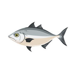 Obraz premium amberjack fish