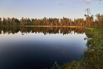 Serene lake reflecting sunset. Tall trees line the horizon, silhouetted against the colorful sky