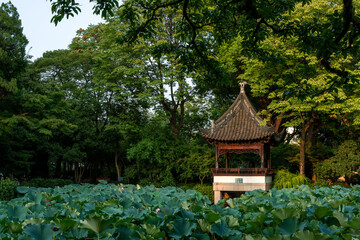Qushuiyuan, Qingpu District, Shanghai, China