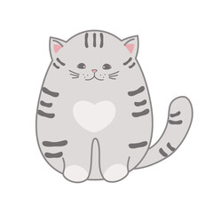 Fat gray tabby kitten, vector illustration isolated on white background