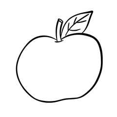 autumn doodle hand drawn outline