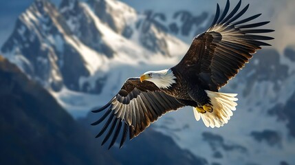 Fototapeta premium Majestic Bald Eagle Soaring High in the Sky with Outstretched Wings Symbolizing Freedom and Vision