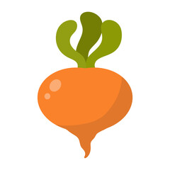 radish or turnips. Vector illustration isolated on white background. turnip vegetable for cooking meals