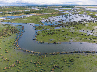 Aerial View of Landscape in Dutch National Park near the Village of Werkendam, North Brabant, Netherlands