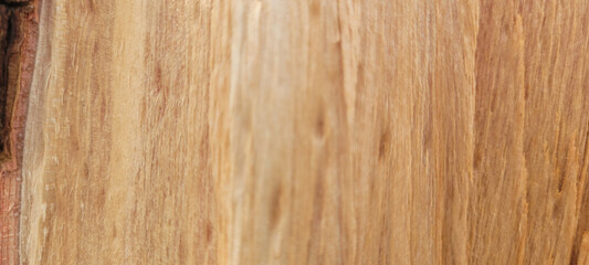 Obraz premium rustic light wooden background