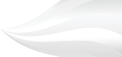 abstract white background with gradient color and Abstract white and gray background. 