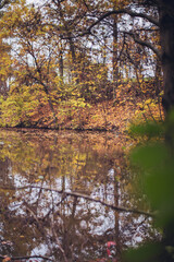 Obraz premium view of a lake in an autumn park through the foliage of trees
