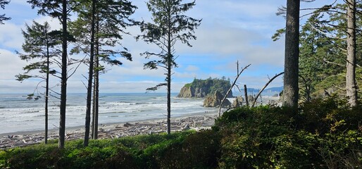 Obraz premium view of the beach