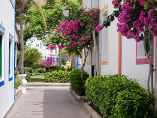 Cozy streets of Puerto de Mogan, Gran Canaria with flowering Bougainvillea trees. Year-round all-season travel in warm countries concept. Mass tourism in Canary Islands