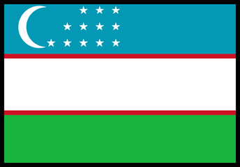 Uzbekistan Flag rectangle Icon