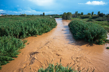 Muddy river flowing through green vegetation after a flood