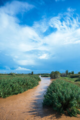 Muddy river flowing under cloudy sky after heavy rain