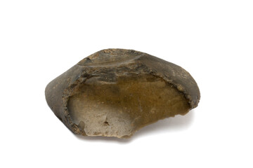 Flint Fragments – Possibly Ancient Tools. Flint was ideal for shaving, cutting, and making weapons