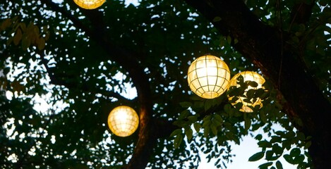 Ozdobne oświetlenie zawieszone na drzewie. Świecące lampy na drzewie wśród liści. Romantyczne oświetlenie widziane wieczorną porą.