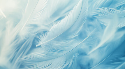 Fototapeta premium Background with ethereal feathers in blue and white, styled with gentle weightlessness in airy design