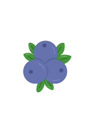 Blueberry illustration
