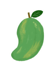 Mango 6B pencil illustration