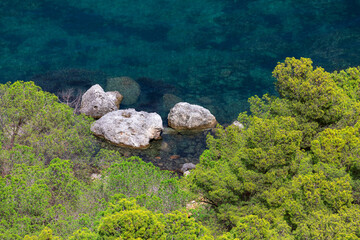 Coastal green trees in harmony with aquatic landscape. Aerial view of treetops and rocks in the sea water